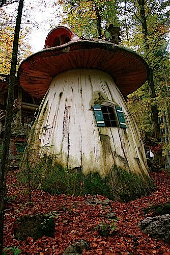 Abitare in un fungo