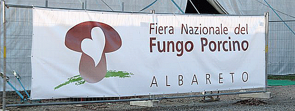Fiera Nazionale del Fungo Porcino di Albareto 6/7 e 8 settembre 2013