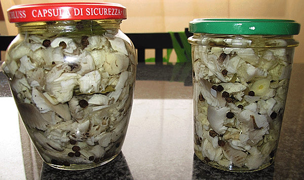 La preparazione dei funghi sott’olio