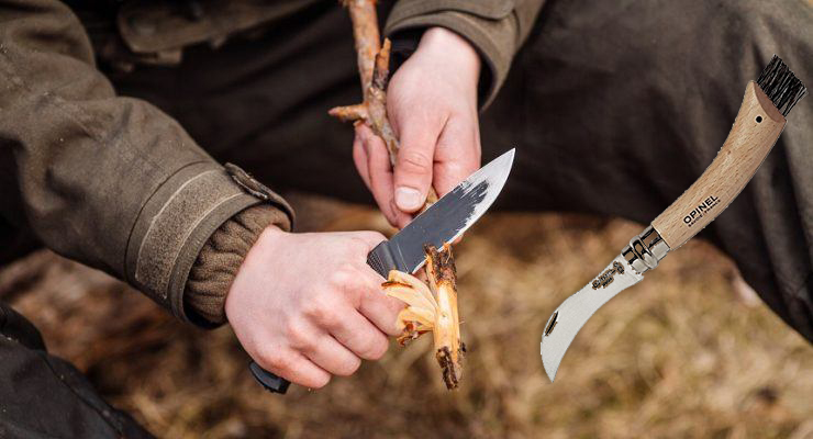 Quale coltello per i funghi?