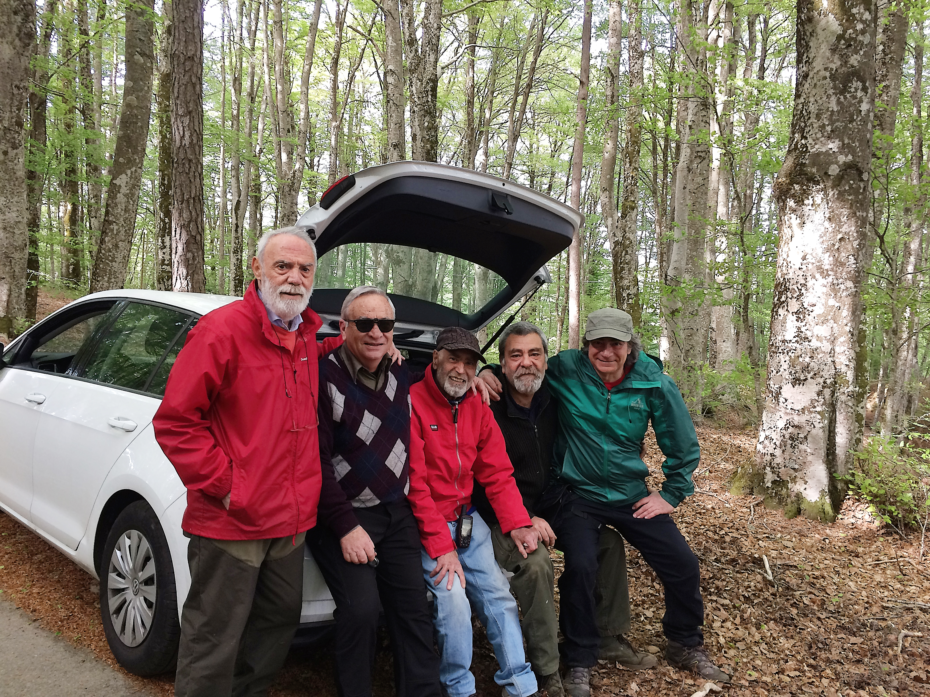 Andar per funghi in sicurezza