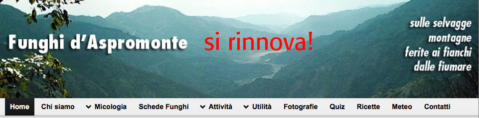 Funghi d’Aspromonte si rinnova… PRESTO ONLINE