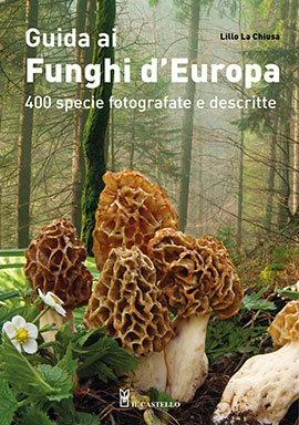 Guida ai funghi d’Europa