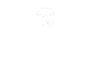 Funghi d'Aspromonte