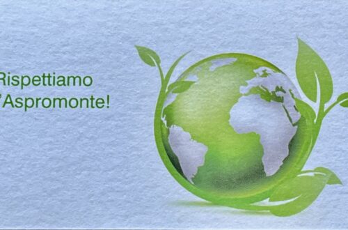La volgarizzazione della micologia aiuta il rispetto della montagna?